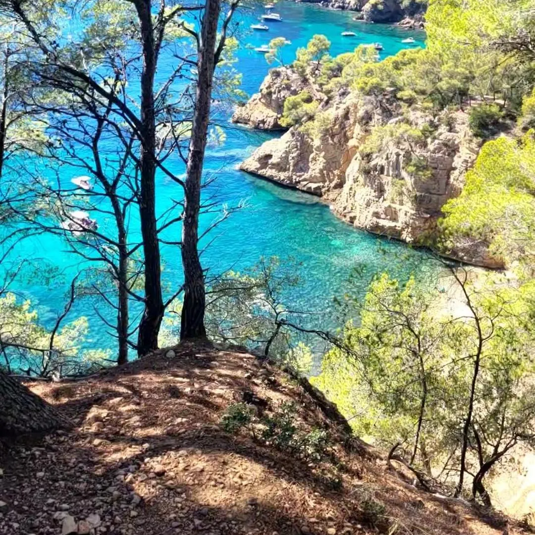 Astrella Apartment Bandol